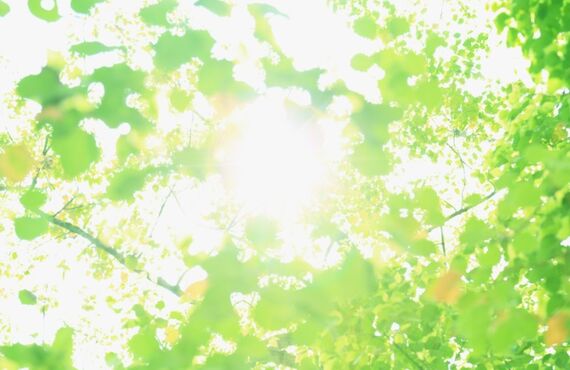 胃・みぞおちの不快感、潰瘍やがんではない悪心はさくらガーデン鍼法院