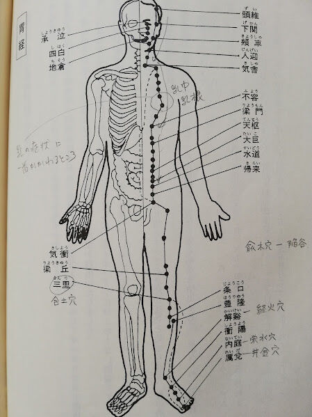 asiyoumei